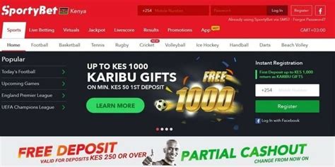 meaning of under 4 in sportybet|Help .